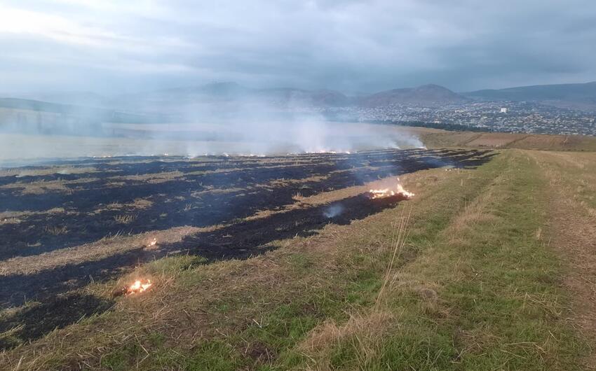 Şamaxıda yanğın törədən şəxs məsuliyyətə cəlb olunub