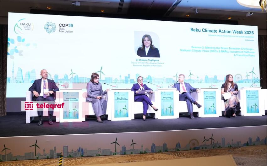 Nazir müavini: Azərbaycan real hədəflərə əsaslanan yaşıl keçidə sadiqdir