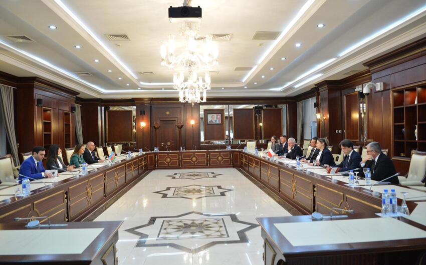 Polşa parlament nümayəndə heyəti ilə görüş olub