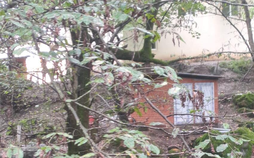 Astarada kafenin sanitar qovşağı məktəbin həyətində tikilib -