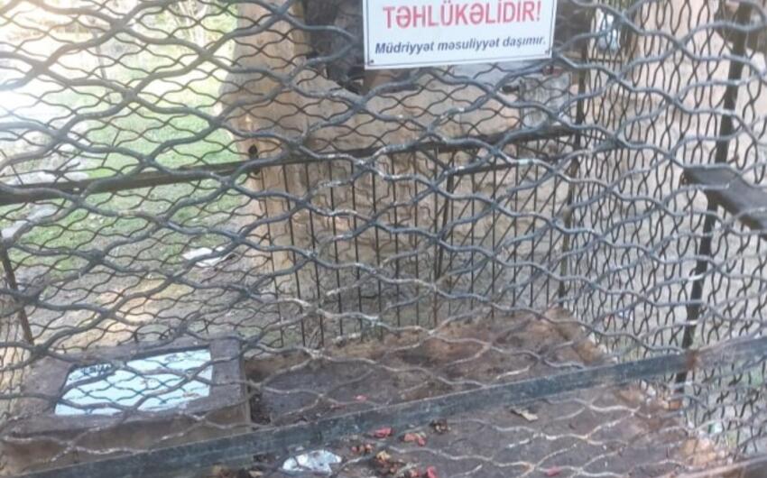 Bu restoranlarda qanunsuz vəhşi heyvan və quşlar saxlanılıb