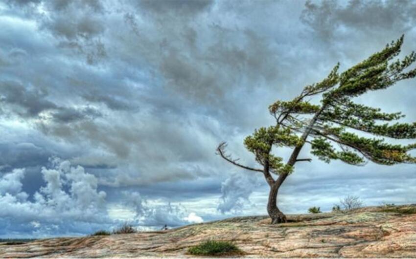 Bakıda külək güclənəcək -
