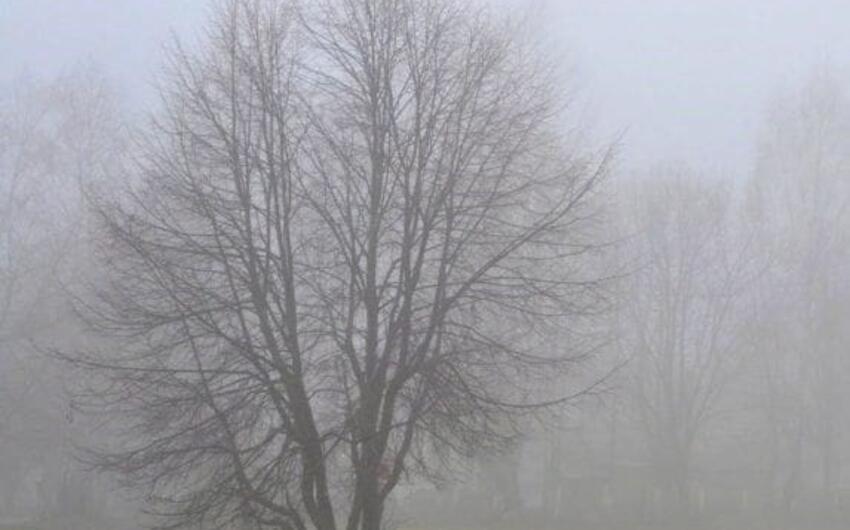 Sabah duman olacaq, külək əsəcək