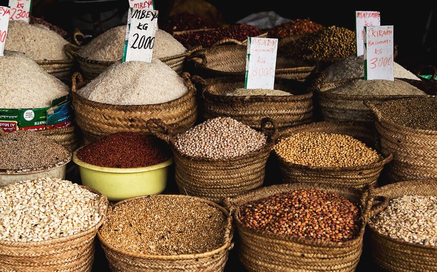 FAO: Dünya taxıl istehsalında 2013-dən bəri ən yüksək artım gözlənilir -