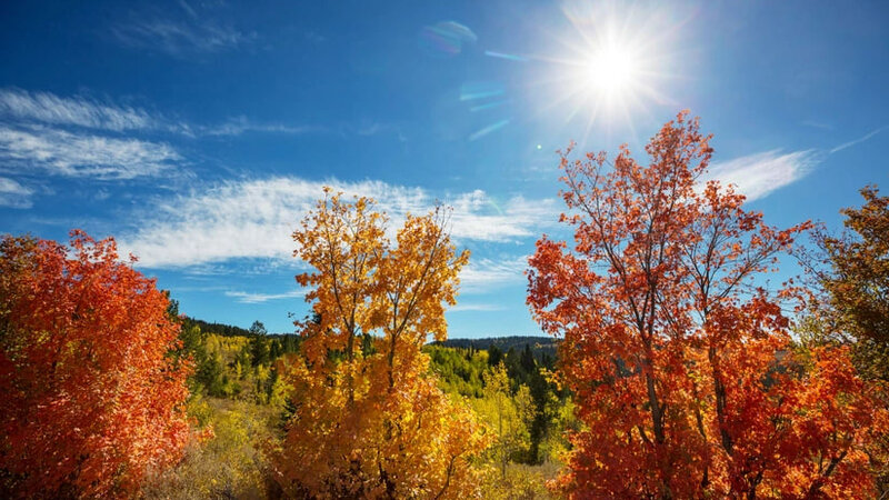 Dağlıq ərazilərdə qısamüddətli yağış yağacaq,  dolu düşəcək -