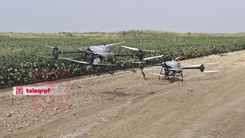 Azərbaycanın kənd təsərrüfatında dron texnologiyasının tətbiqinə başlandı  -