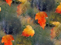 Faktiki hava açıqlandı