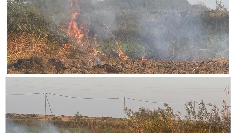 Zərdabda yanğın törədən şəxs məsuliyyətə cəlb olundu