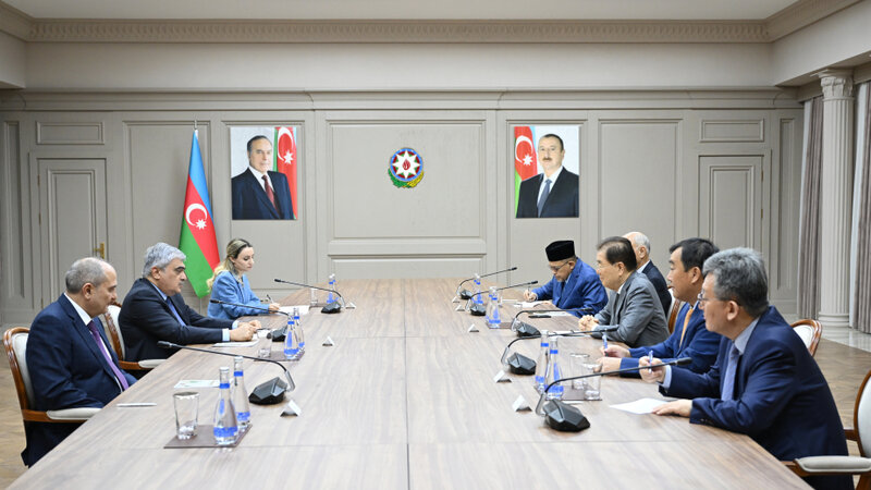 Baş nazirin müavini ICAPP-ın nümayəndə heyəti ilə görüşüb