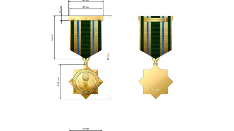 Azərbaycan Konstitusiyasının 30 illiyi münasibətilə yubiley medalı təsis edildi