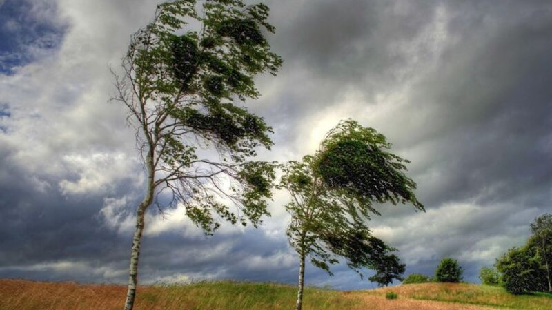 Sabah güclü külək əsəcək -