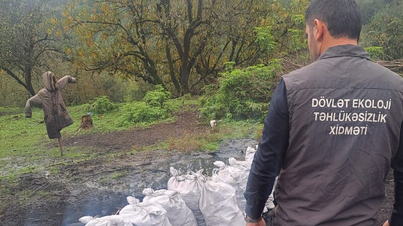 Qanunsuz kömür istehsalı ilə bağlı 218 fakt qeydə alındı