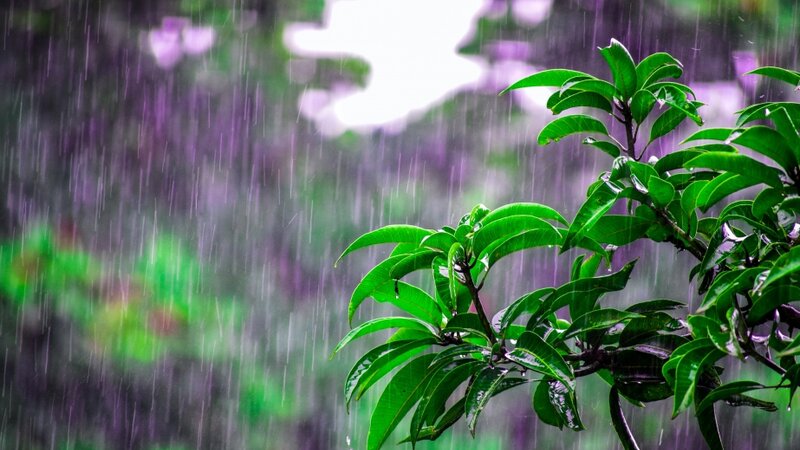 Yağıntılı hava şəraiti noyabrın 5-i gündüzədək davam edəcək