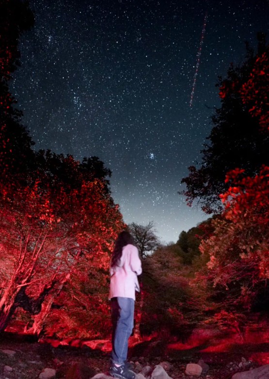 Leyla Əliyeva Qəbələdən yeni görüntülər paylaşdı - FOTO