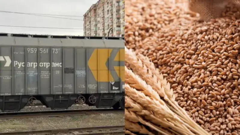 Ermənistan Azərbaycan vasitəsilə göndərilən buğdanı ekspertizadan keçirdi