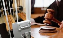 Bakıda qadın təlimçi iki nəfəri sürücülük vəsiqəsi almaq adı ilə aldadıb