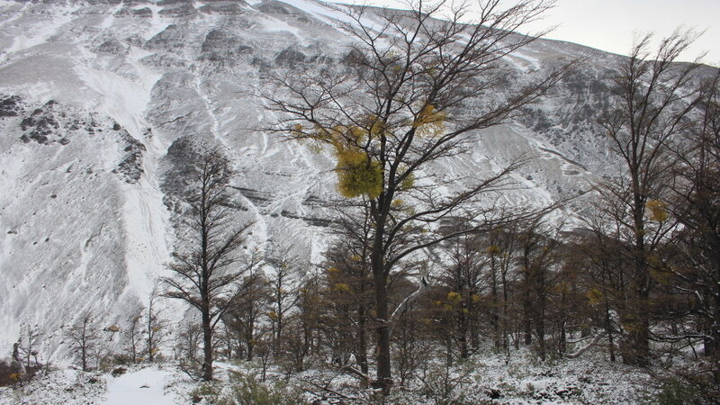 Çilidə hava şəraitinin pisləşməsi nəticəsində 5 turist öldü