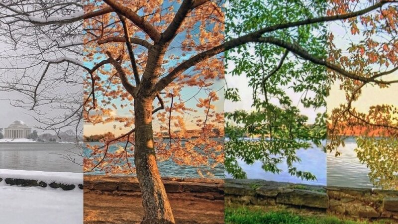 2026-cı ildə fəsillərin Azərbaycana daxilolma vaxtları açıqlandı