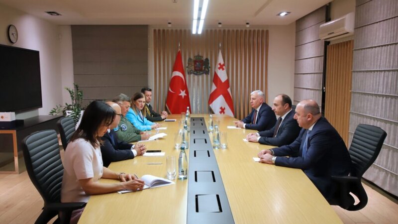 Gürcüstan və Türkiyə təyyarə qəzasını müzakirə etdi