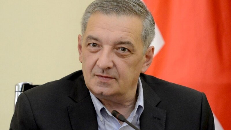Gürcüstan parlamentinin vitse-spikeri: