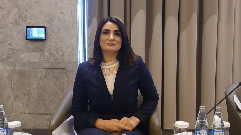 Türkiyəli ekspert: Təhlükəsizlik və müdafiə sahəsində iki ölkənin əməkdaşlığı modelə çevrilib