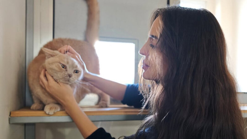 Leyla Əliyeva IDEA Heyvanlara Qayğı Mərkəzində olub -