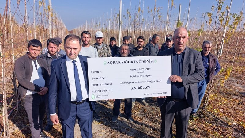 Azərbaycanda meyvə bağları üzrə ən böyük aqrar sığorta ödənişi edildi