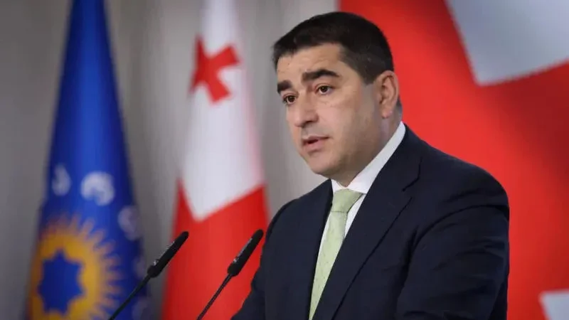 Gürcüstandan NATO baş katibinə təpki: