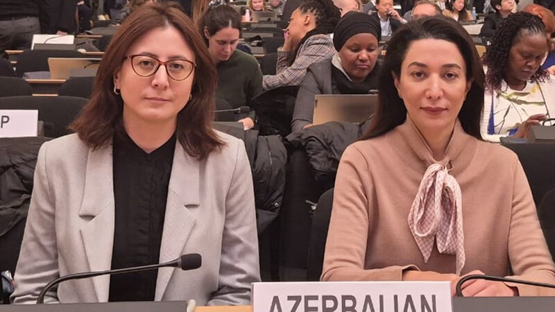 Ombudsman Cenevrədə BMT-nin Biznes və İnsan Hüquqları Forumunda iştirak edib