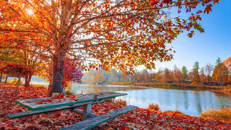 Sabah bəzi rayonlarda çiskinli yağış yağacaq