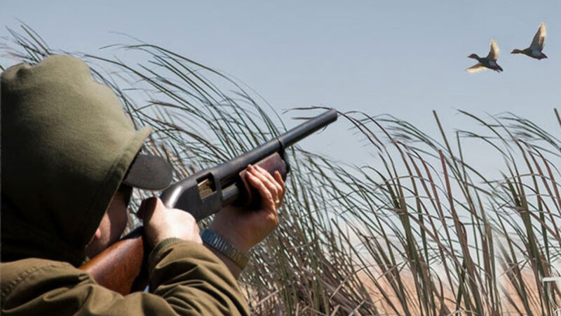 Bu gündən ölkə ərazisində ov qadağan olunur