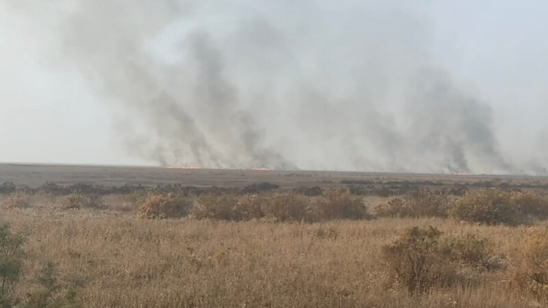 Türkiyə ilə əczaçılıq sənayesi üzrə əməkdaşlıq müzakirə olunub