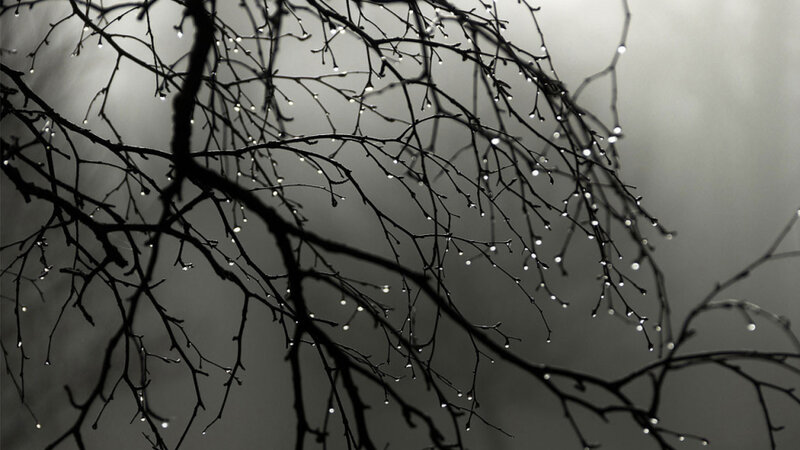 Sabah bəzi yerlərdə çiskin olacaq -