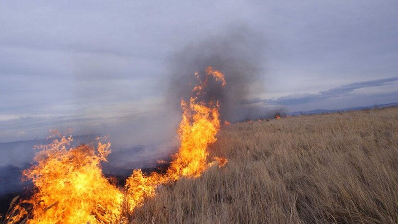 Əkin sahələrini yandıranlar əvvəlcə cərimə, sonra həbs edilə bilərlər
