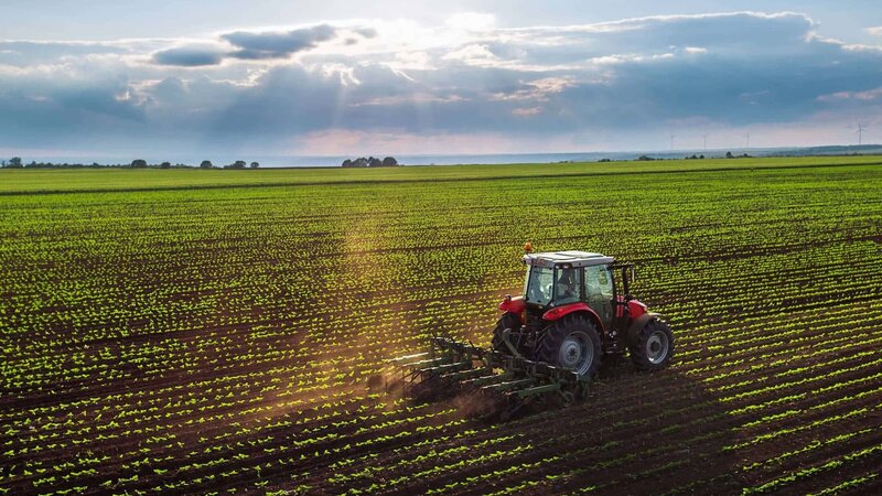 Kənd təsərrüfatı torpaqlarında müvəqqəti tikililər üçün yeni qaydalar təsdiqləndi