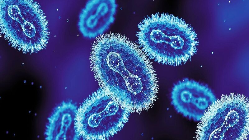 Britaniyada mpox virusunun yeni ştammı aşkar edilib