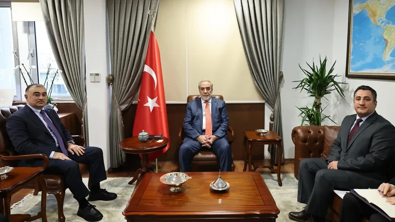 Türkiyə xarici işlər nazirinin müavini Rəşad Məmmədovla görüşdü