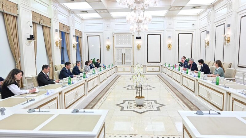 Sahibə Qafarova Britaniya rəsmisi ilə əməkdaşlığı müzakirə etdi