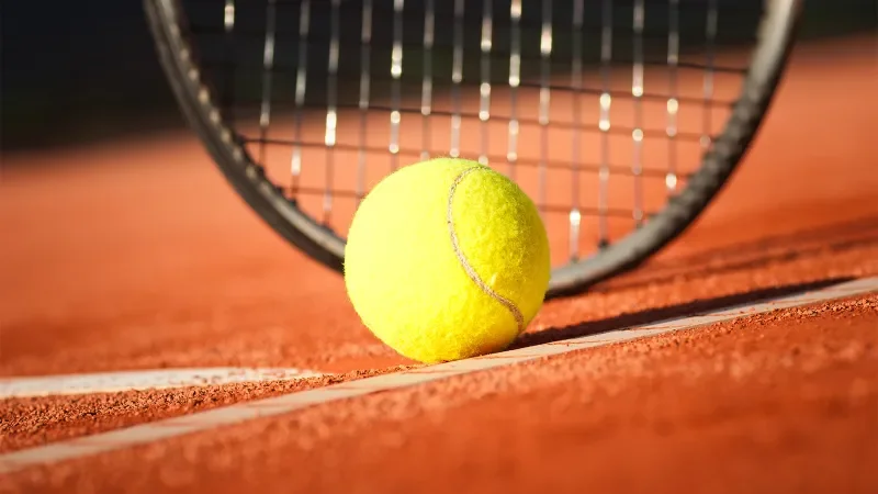 Fransalı tennisçi 20 illik müddətinə cəzalandı