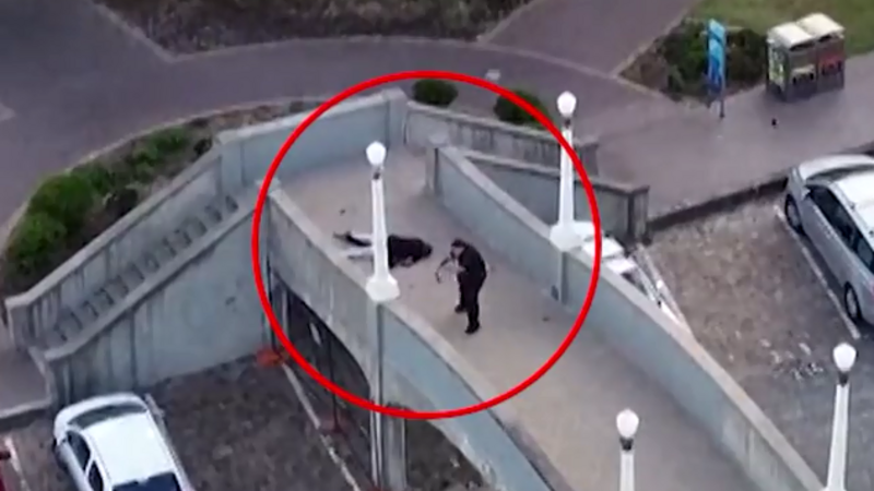 Sidneydəki terroru törədənlər ata və oğuldur -