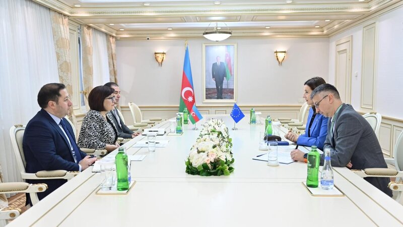 Sahibə Qafarova Aİ nümayəndəsi ilə görüşdü