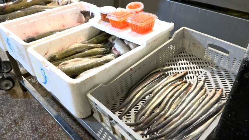 8-ci km bazarında balıq kürüsü satışında ciddi nöqsanlar aşkarlanıb -