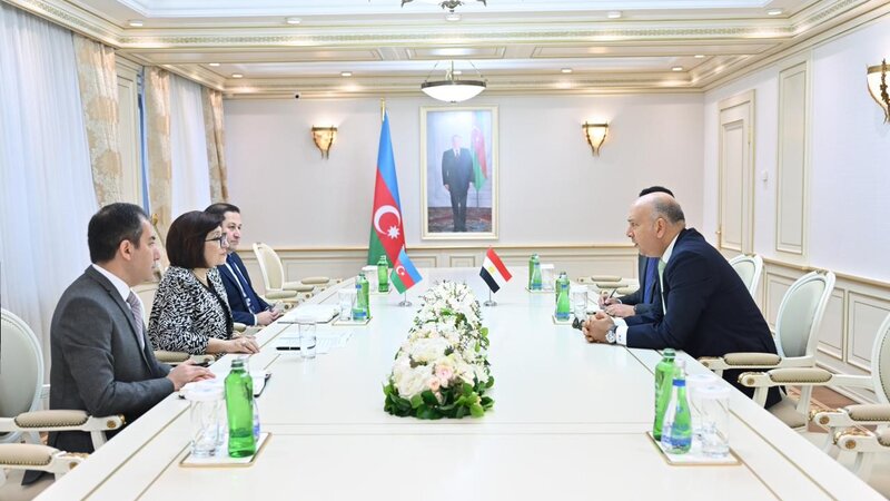 Sahibə Qafarova Misirin ölkəmizdəki səfiri ilə görüşüb -