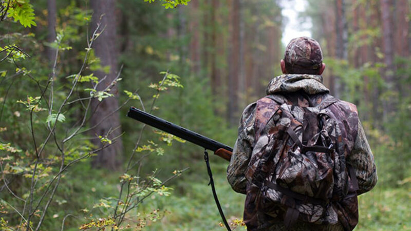 Sabahdan Azərbaycanda ov mövsümü açıq elan edilir