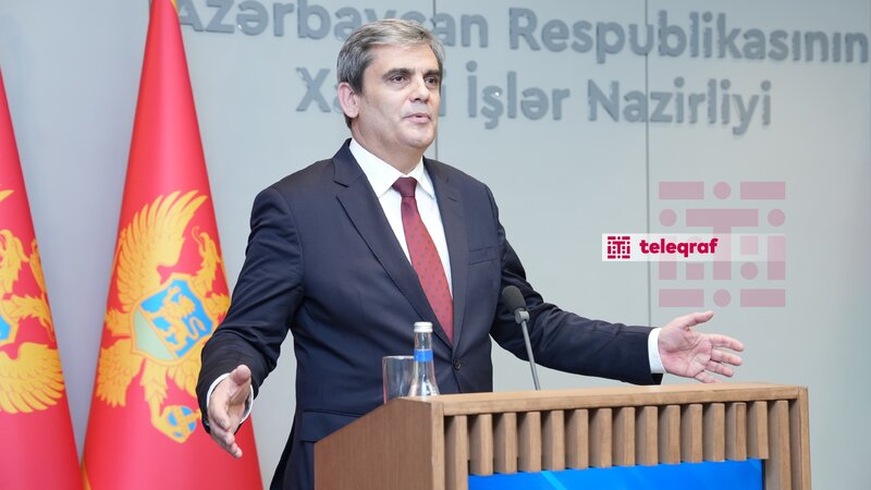 Nazir: Monteneqro ilə Azərbaycannın enerji sahəsində əməkdaşlıq üçün yaxşı perspektivləri var