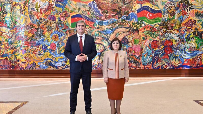 Sahibə Qafarova Ervin İbrahimoviçlə görüşdü