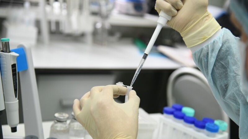 Rusiyada Honkonq qripi ilə bağlı xəbərdarlıq: Pik yoluxma yanvarın ortalarında olacaq