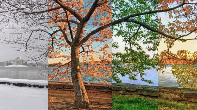 Gələn il fəsillərin Azərbaycana daxilolma vaxtları açıqlandı