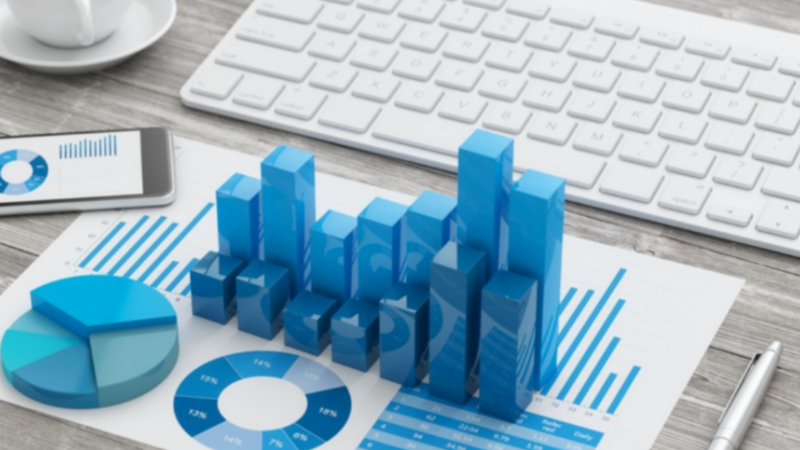 “Biznes demoqrafiyası”na dair informasiya ehtiyatının yaradılır