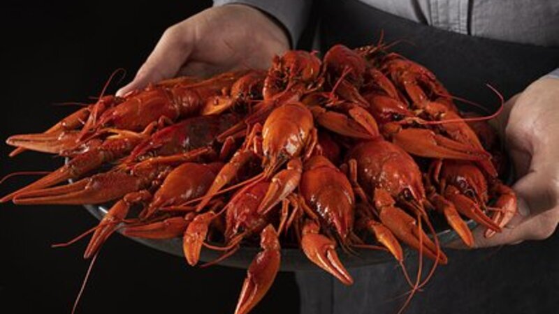 ABŞ-də 400 min dollarlıq lobster oğurlandı